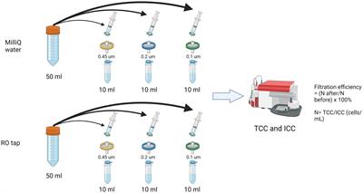 Enhancing the DNA yield intended for microbial sequencing from a low-biomass chlorinated drinking water